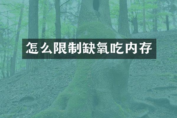怎么限制缺氧吃内存