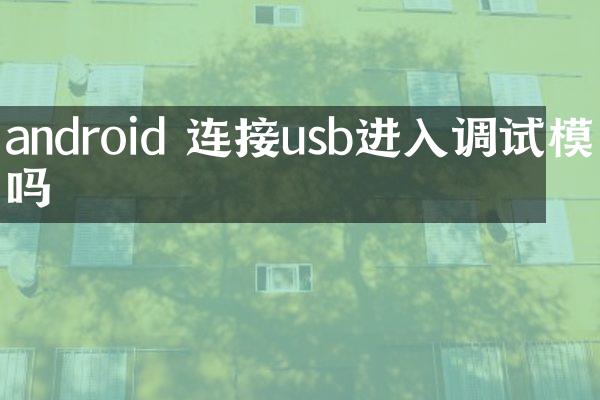 android 连接usb进入调试模式吗
