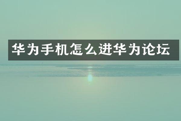 华为手机怎么进华为论坛