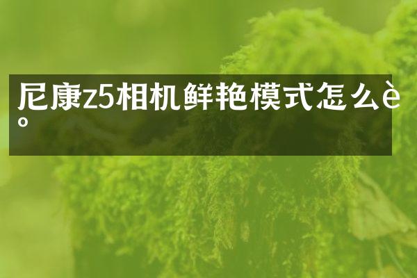 尼康z5相机鲜艳模式怎么调