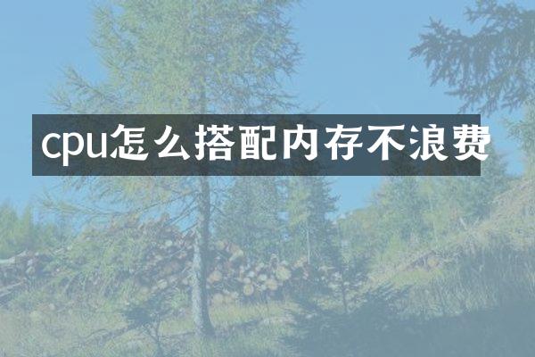 cpu怎么搭配内存不浪费