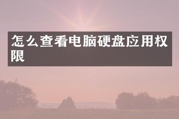 怎么查看电脑硬盘应用权限
