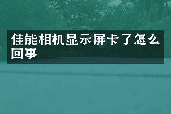 佳能相机显示屏卡了怎么回事