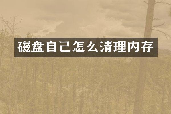 磁盘自己怎么清理内存