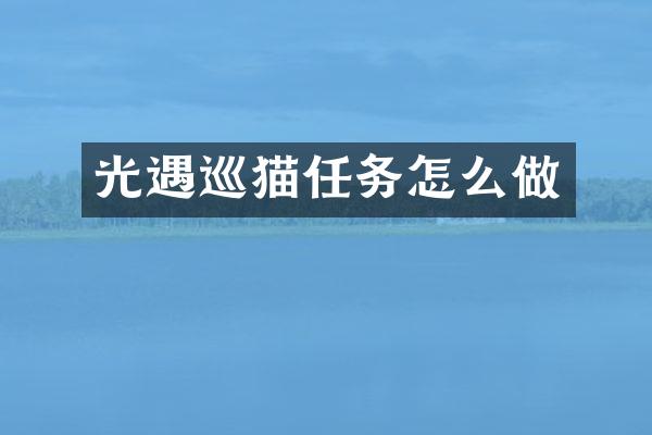 光遇巡猫任务怎么做