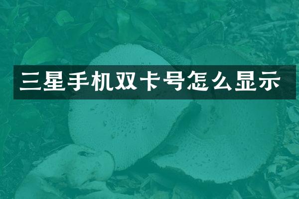 三星手机双卡号怎么显示