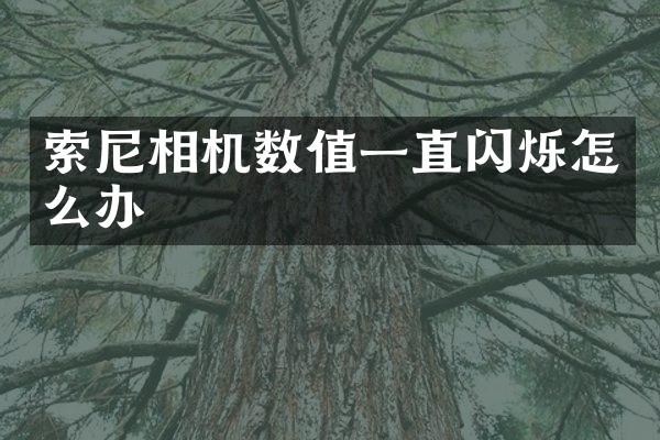 索尼相机数值一直闪烁怎么办