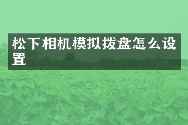 相机模拟拨盘怎么设置