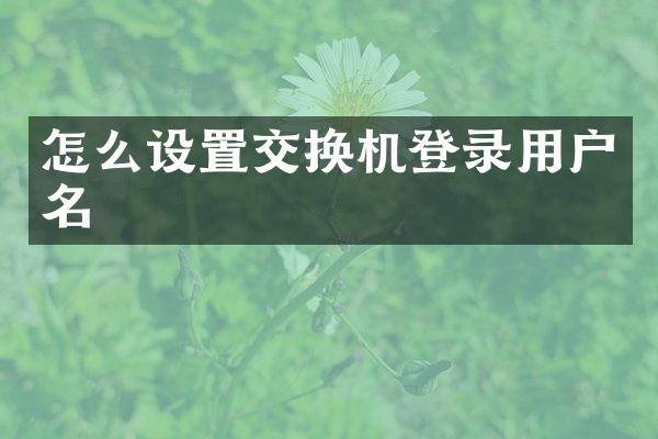 怎么设置交换机登录用户名