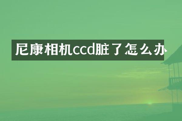 尼康相机ccd脏了怎么办