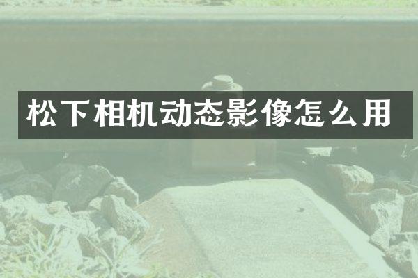 相机动态影像怎么用