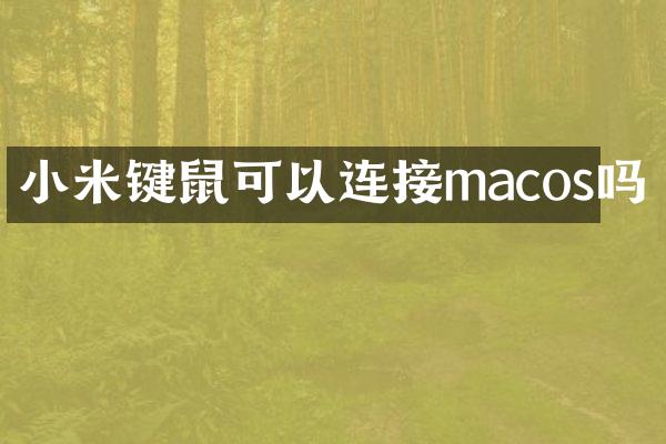 小米键鼠可以连接macos吗
