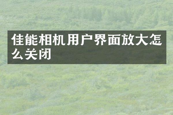 佳能相机用户界面放大怎么关闭