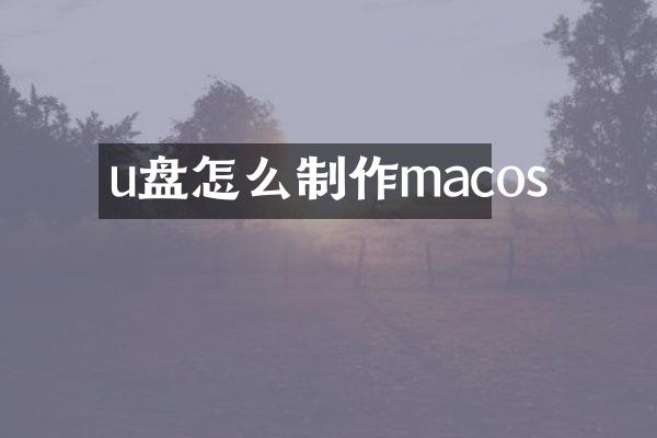u盘怎么制作macos