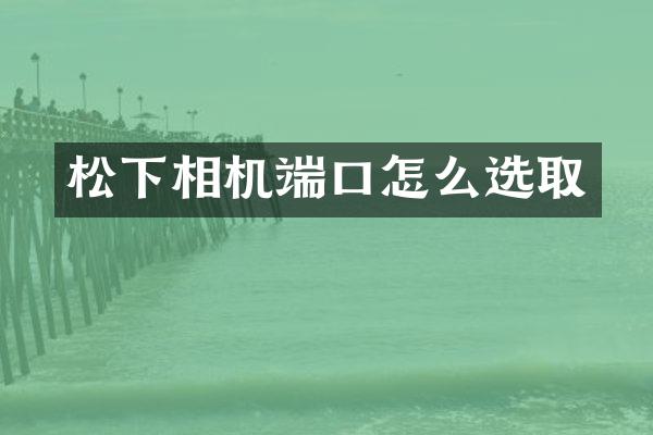 相机端口怎么选取