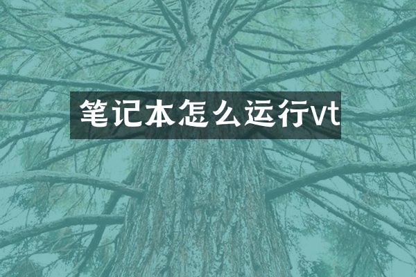 笔记本怎么运行vt