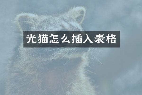 光猫怎么插入表格