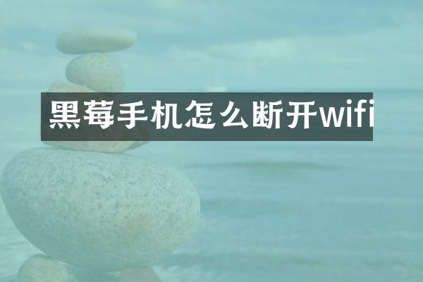 黑莓手机怎么断开wifi
