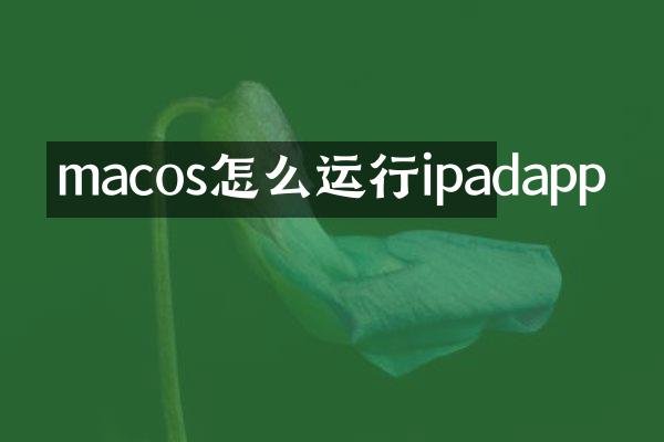 macos怎么运行ipadapp
