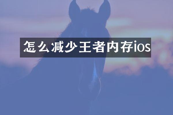 怎么减少王者内存ios