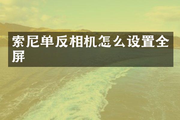 索尼单反相机怎么设置全屏