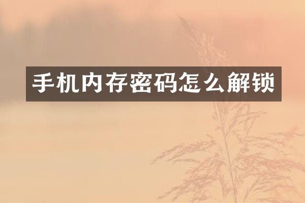 手机内存密码怎么解锁