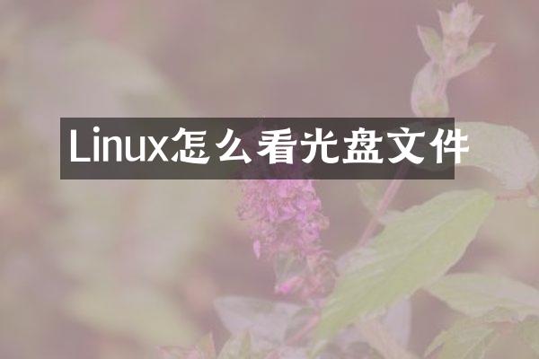 Linux怎么看光盘文件