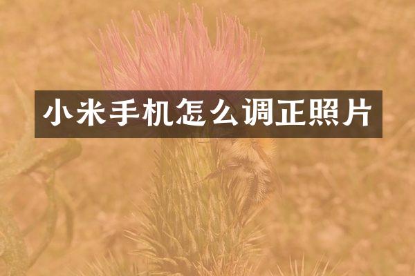 小米手机怎么调正照片