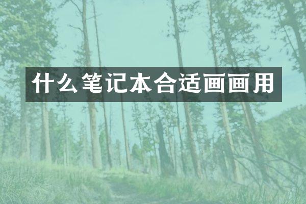 什么笔记本合适画画用