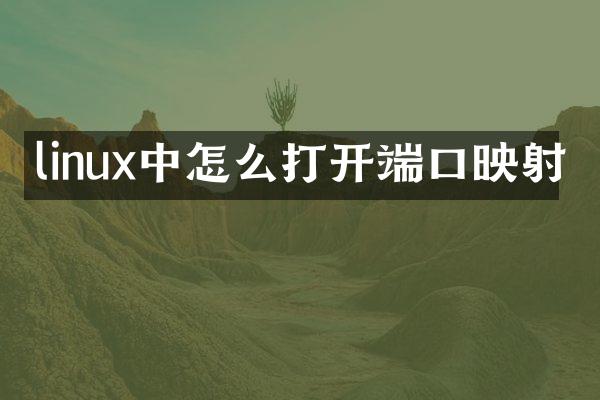 linux中怎么打开端口映射