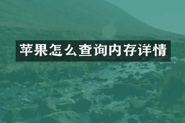 苹果怎么查询内存详情