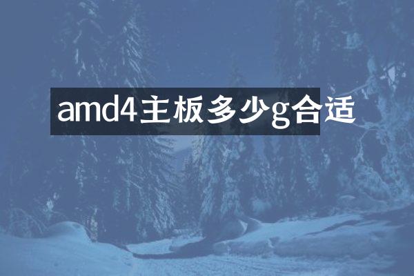 amd4主板多少g合适