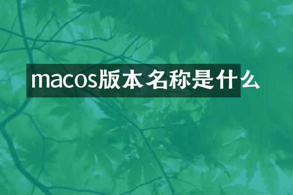 macos版本名称是什么