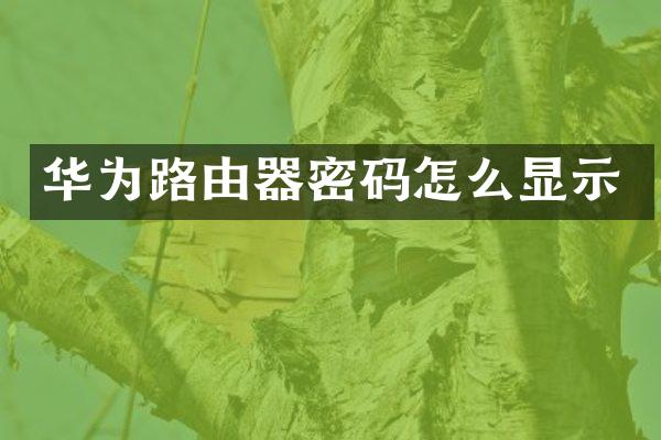 华为路由器密码怎么显示