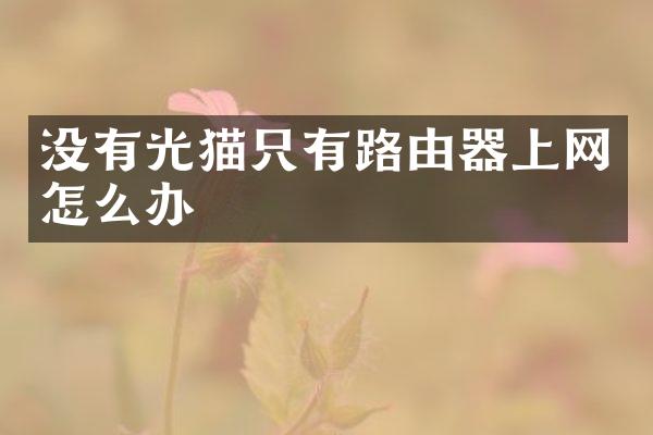 没有光猫只有路由器上网怎么办
