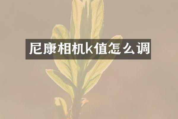 尼康相机k值怎么调