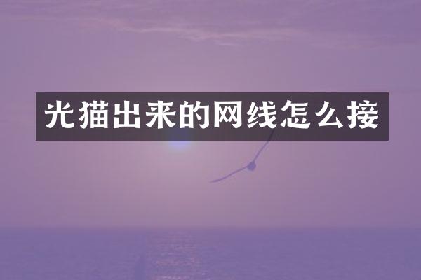 光猫出来的网线怎么接