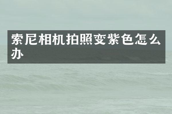 索尼相机拍照变紫色怎么办