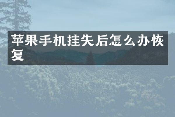 苹果手机挂失后怎么办恢复