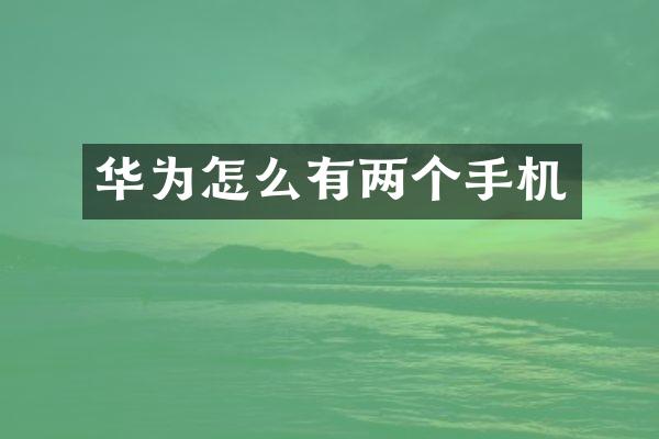 华为怎么有两个手机