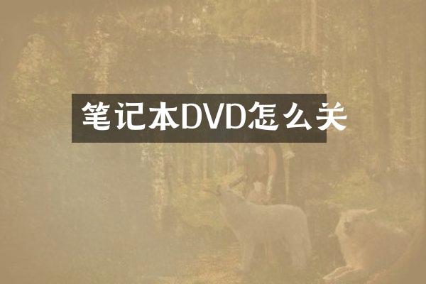 笔记本DVD怎么关