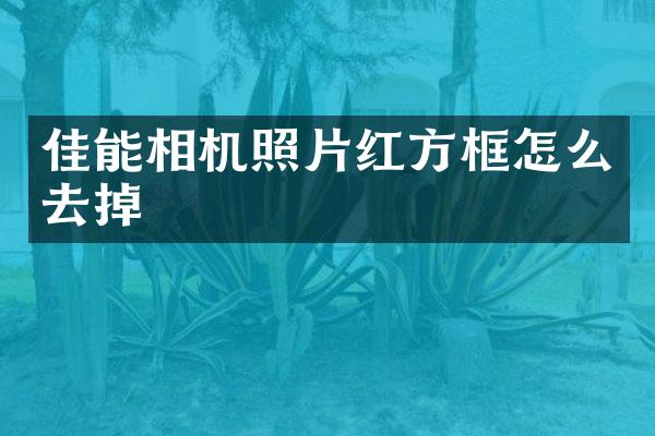 佳能相机照片红方框怎么去掉