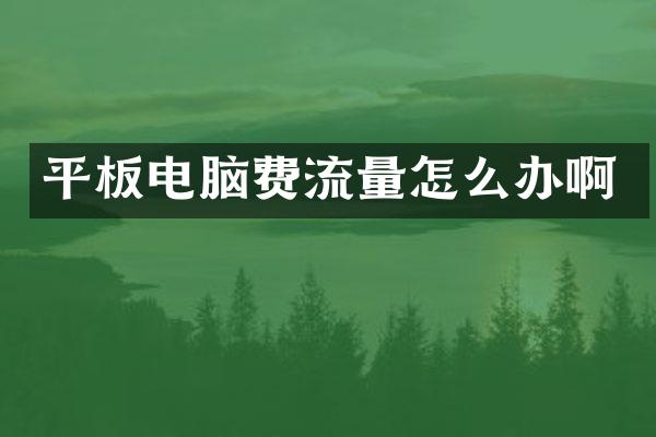 平板电脑费流量怎么办啊