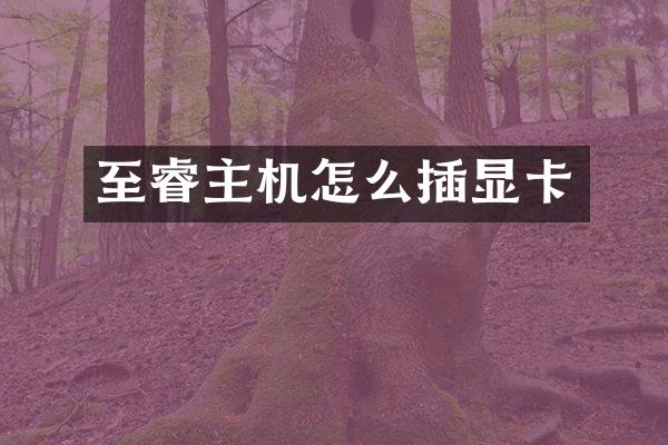 至睿主机怎么插显卡