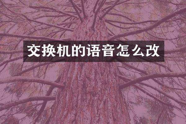 交换机的语音怎么改
