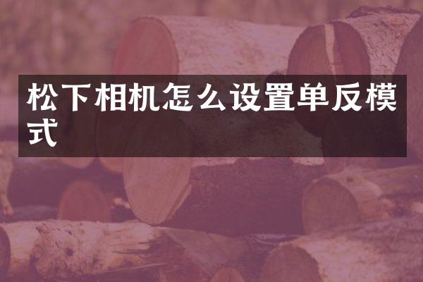 相机怎么设置单反模式