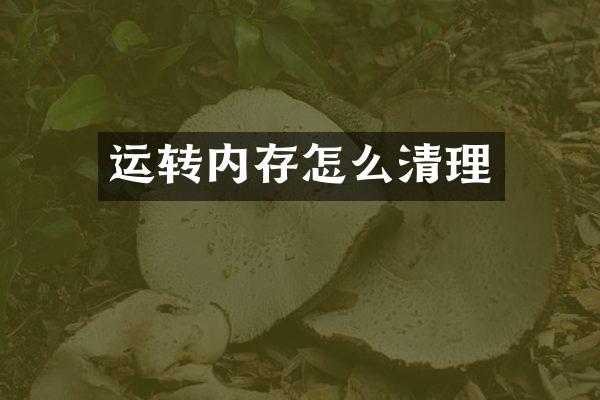 运转内存怎么清理