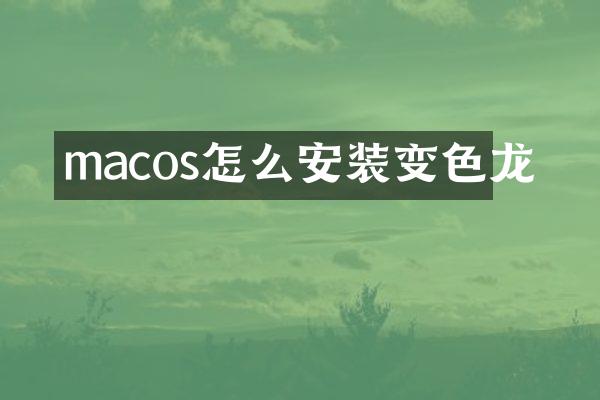 macos怎么安装变色龙