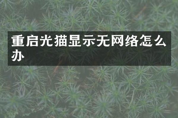 重启光猫显示无网络怎么办