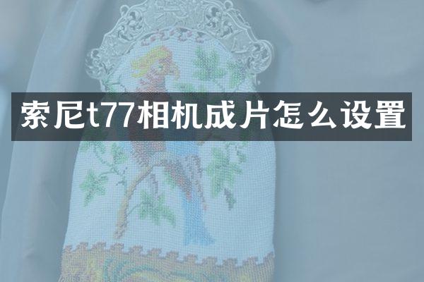 索尼t77相机成片怎么设置